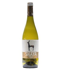 Shaya