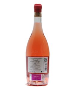 Alternative view of Vizcarra Rosado